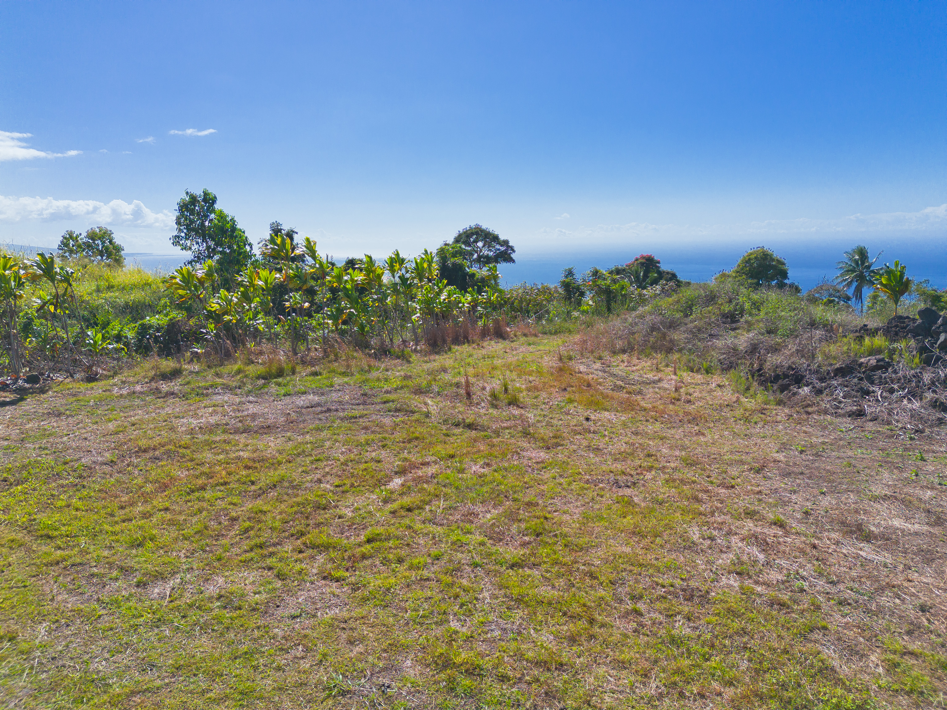 82-1088 Lot A Koa Road Captain Cook, HI 96704 - Photo 4 of 30