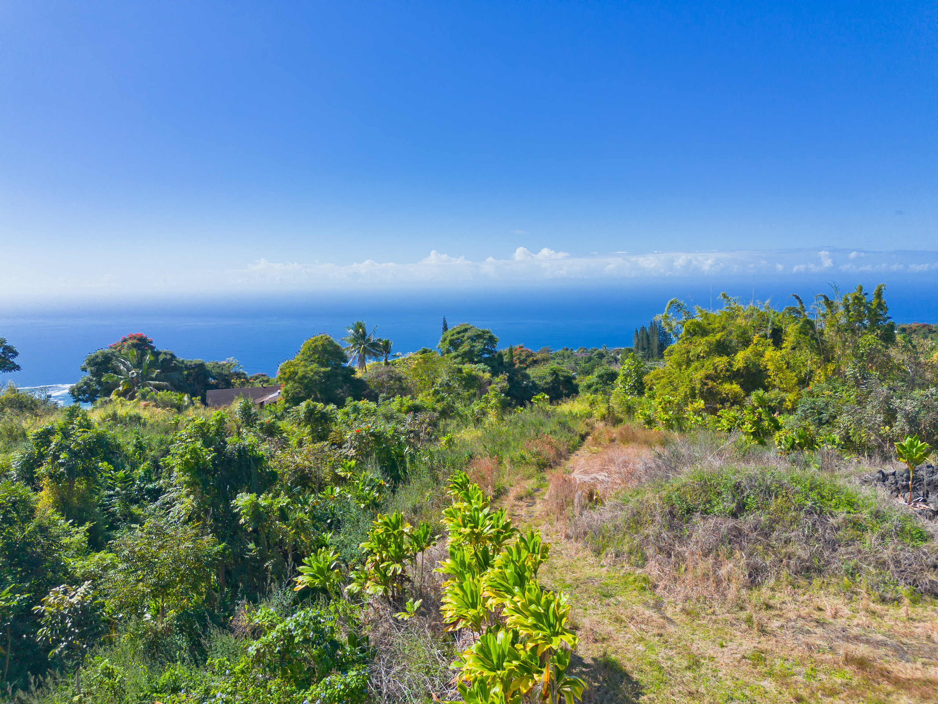 82-1088 Lot A Koa Road Captain Cook, HI 96704 - Photo 6 of 30