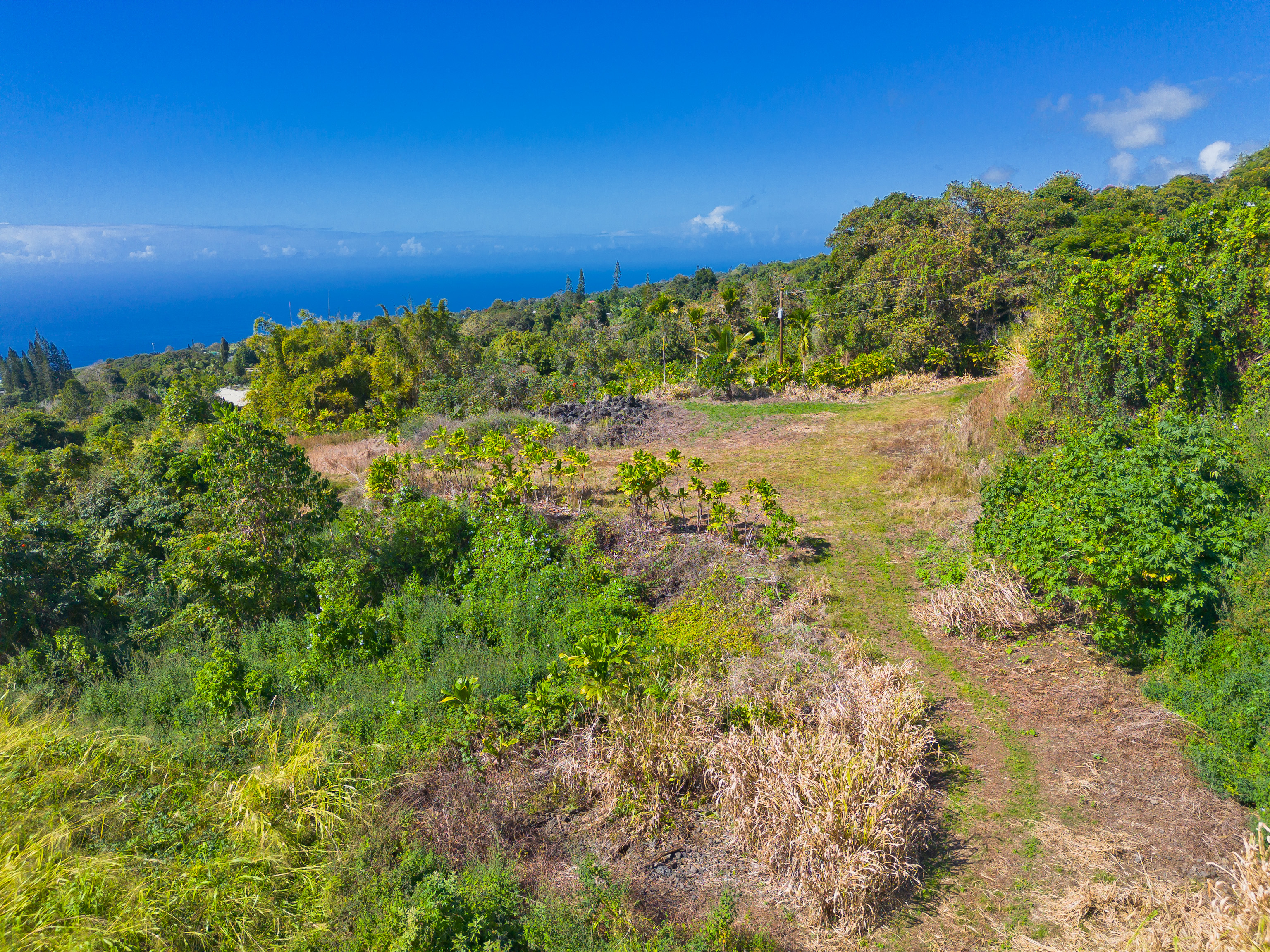 82-1088 Lot A Koa Road Captain Cook, HI 96704 - Photo 8 of 30