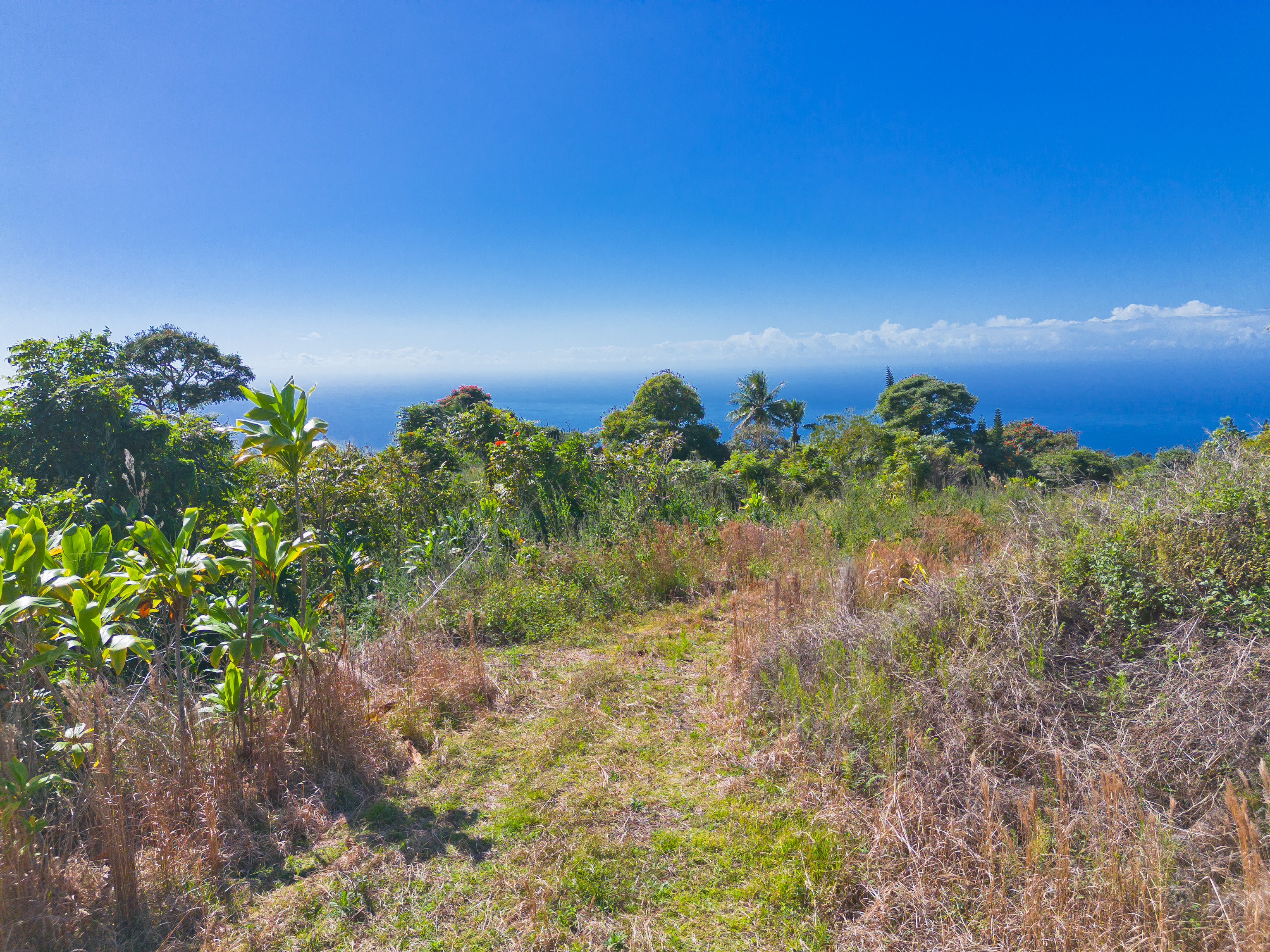 82-1088 Lot A Koa Road Captain Cook, HI 96704 - Photo 9 of 30