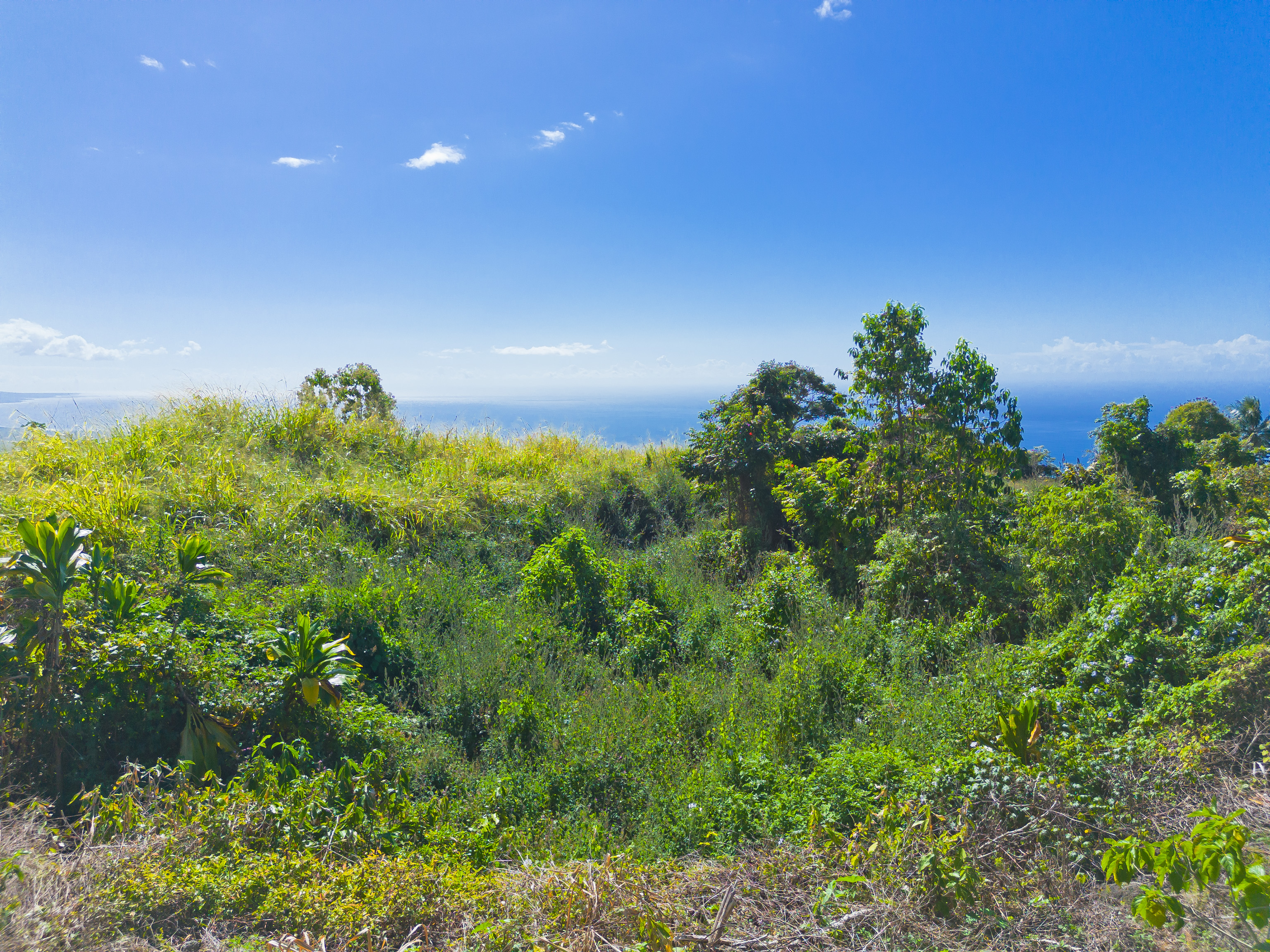 82-1088 Lot A Koa Road Captain Cook, HI 96704 - Photo 10 of 30