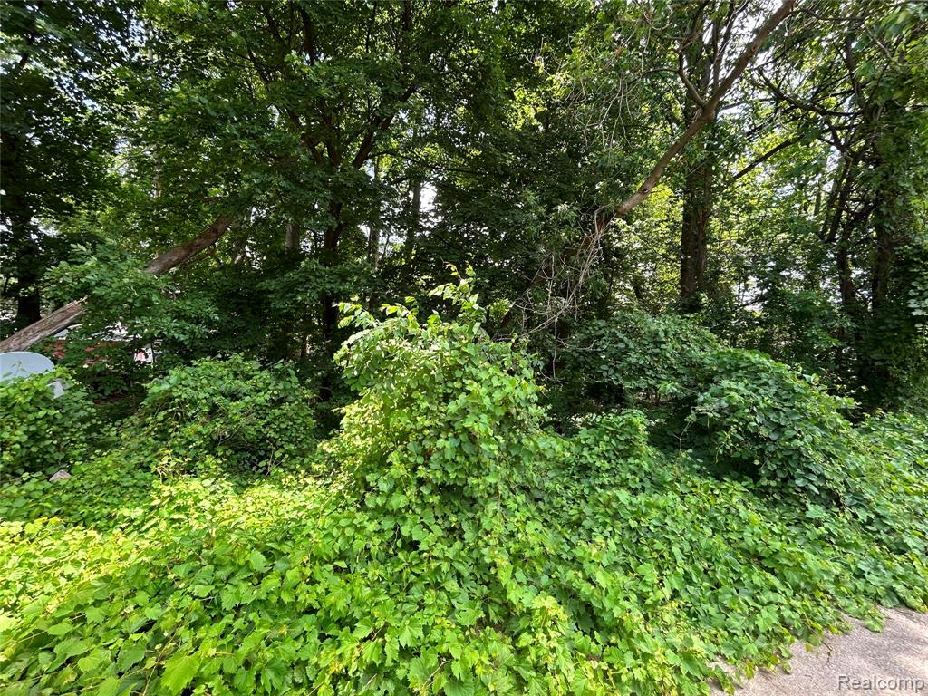 505 South Telegraph Road Dearborn, MI 48124 - Photo 2 of 2