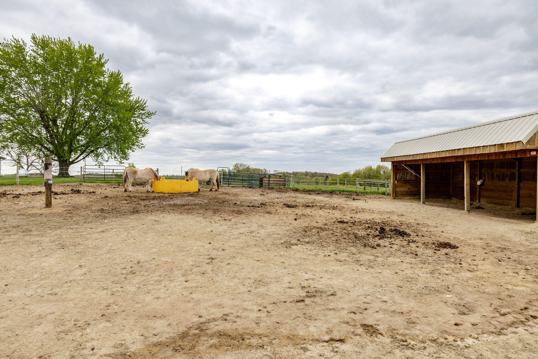 W4102 Ober Road Greenfield, WI 54623 - Photo 20 of 38 Horse Paddock