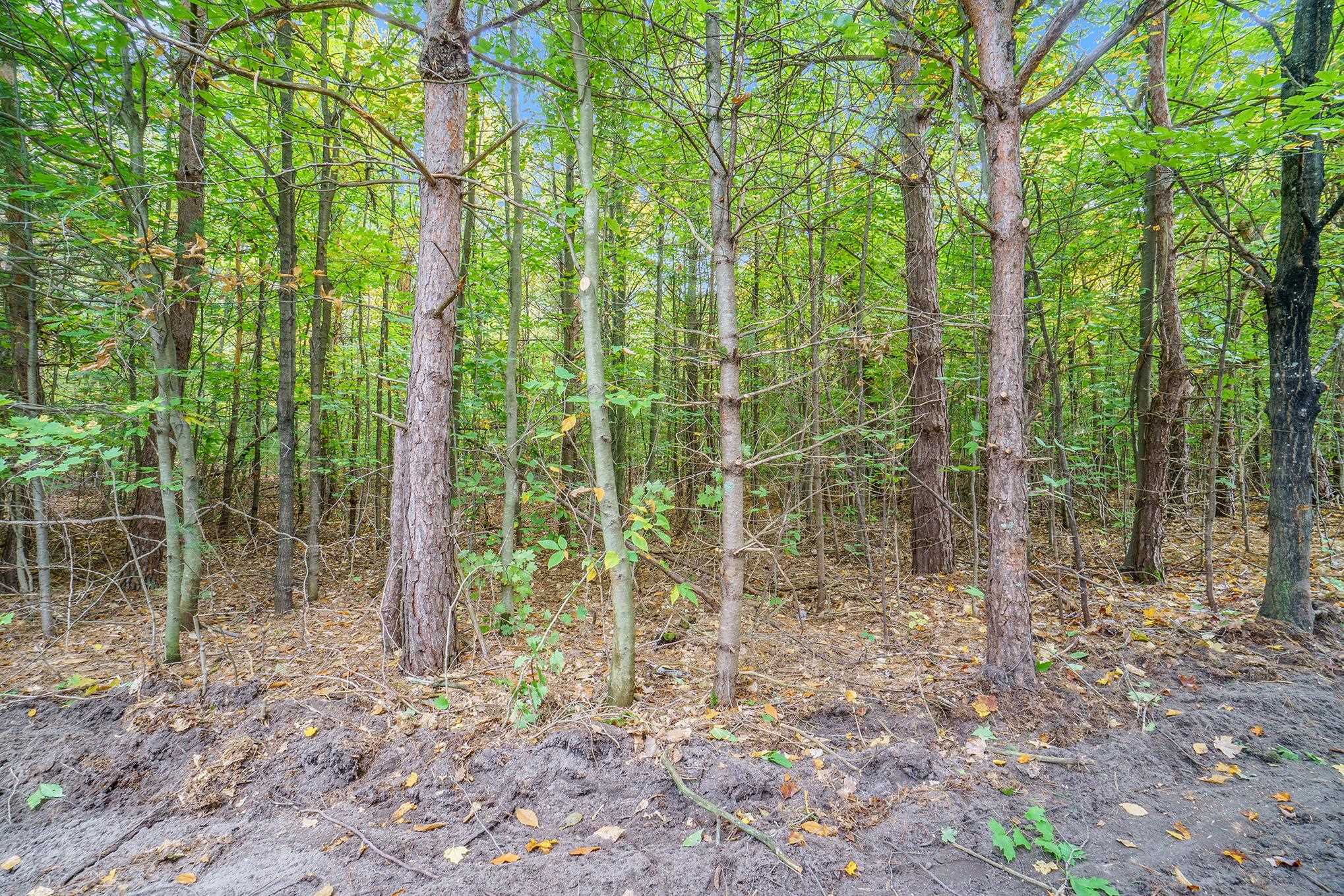 0 Reynolds Road, Unit LOT M MAPLE Interlochen, MI 49643 - Photo 2 of 5