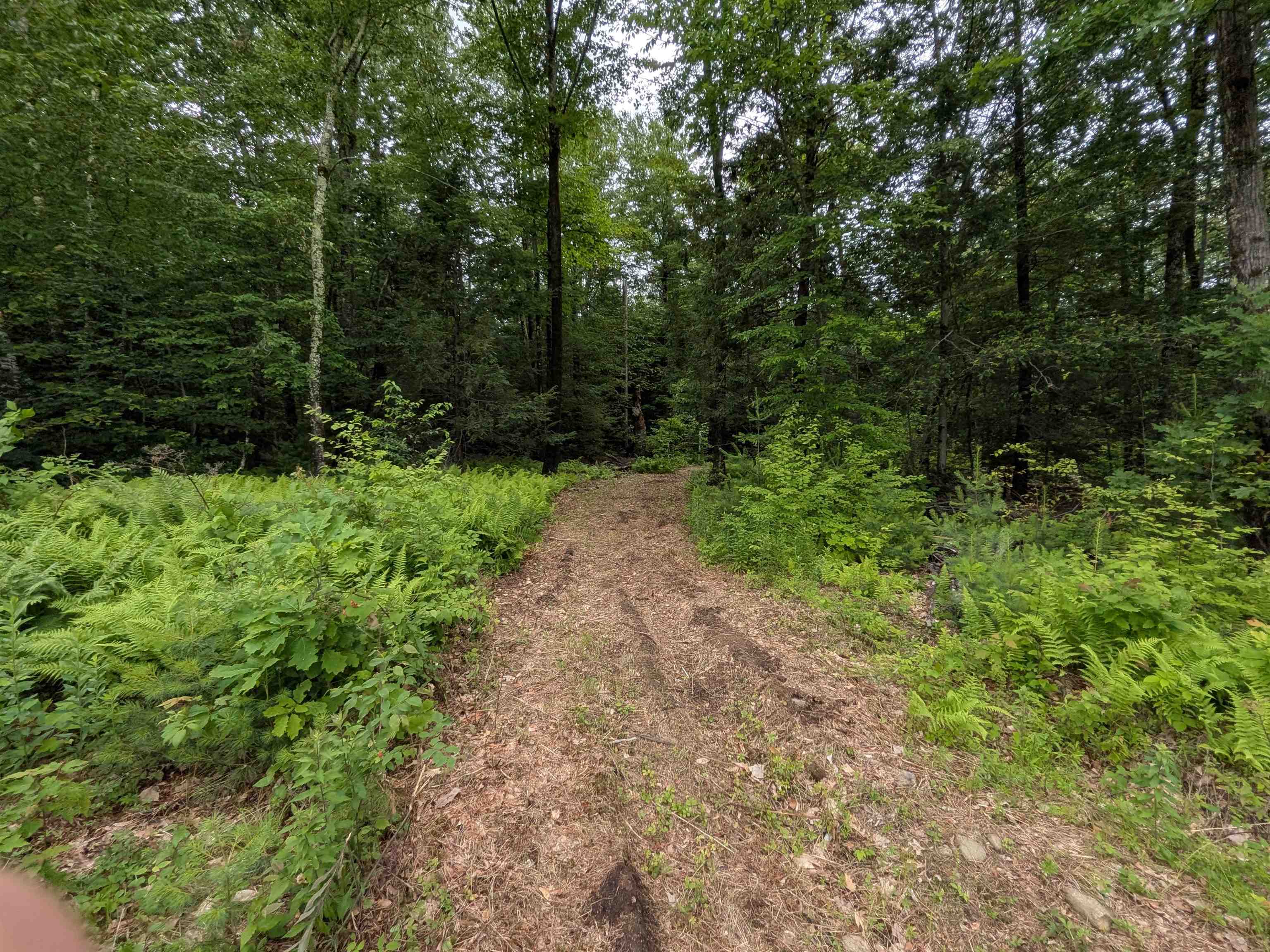 58-6-2 Duggin Road Wilton, NH 03086 - Photo 5 of 14