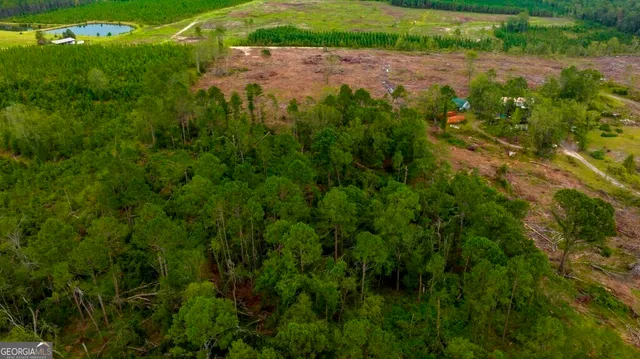 a view of a street with a park