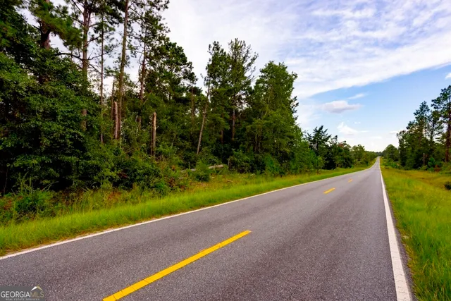 a view of a garden with a tree