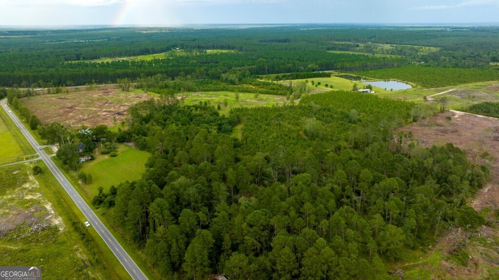 0 Macedonia Church Road McRae-Helena, GA 31055 - Photo 5 of 12 a view of a golf course with a garden