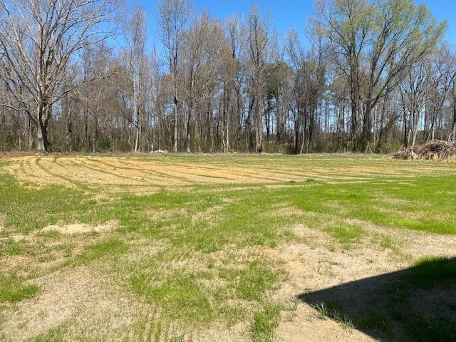 2927 Hobson Road Dunn, NC 28334 - Photo 11 of 12 Photo 11