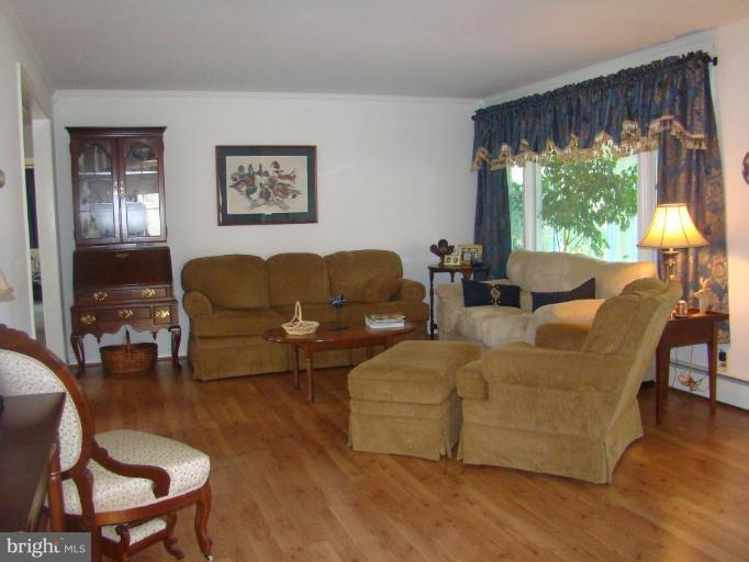 16145 Sheads Mountain Road Rixeyville, VA 22737 - Photo 5 of 20 Living Room