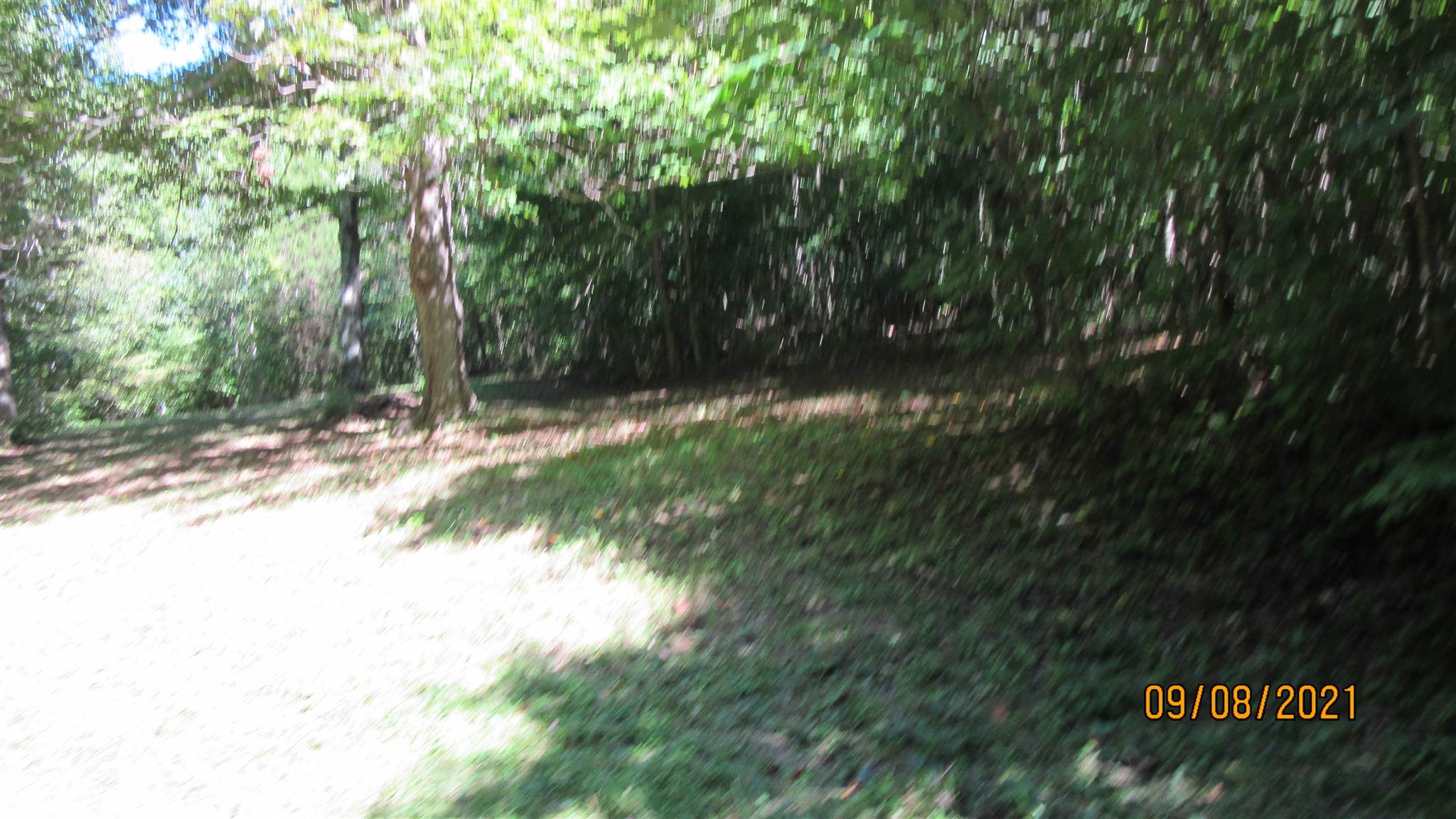1320 Popcorn Road Springville, IN 47462 - Photo 21 of 29