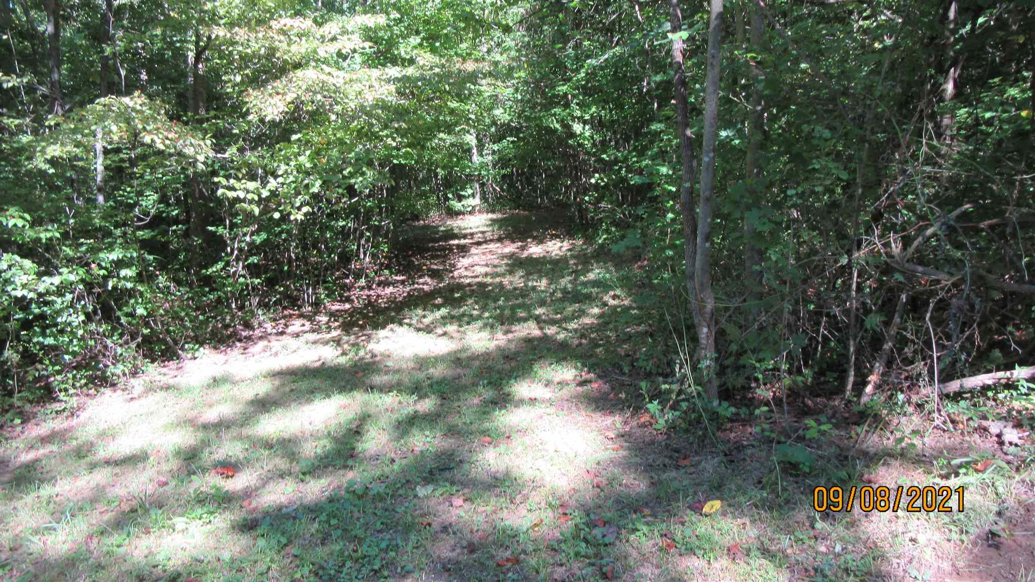 1320 Popcorn Road Springville, IN 47462 - Photo 23 of 29
