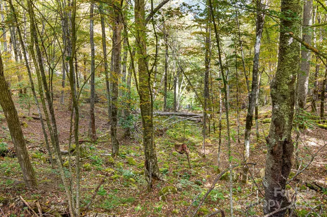 $199,000 | 63 Running Cedar Drive, Mars Hill, NC 28754