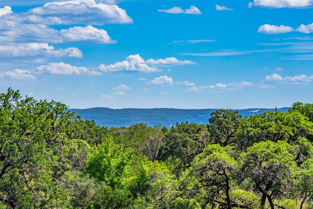 3392 Benton Creek Road Medina, TX 78055 - Photo 23 of 32