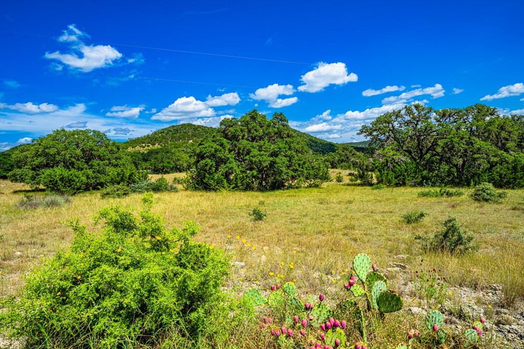 3392 Benton Creek Road Medina, TX 78055 - Photo 24 of 32