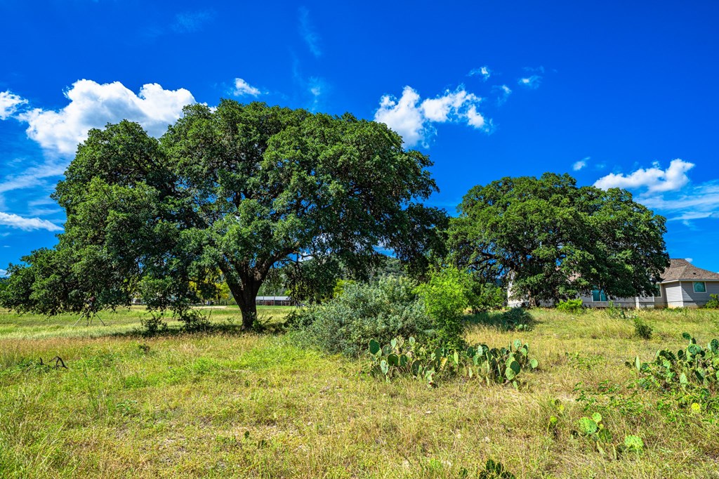3392 Benton Creek Road Medina, TX 78055 - Photo 25 of 32