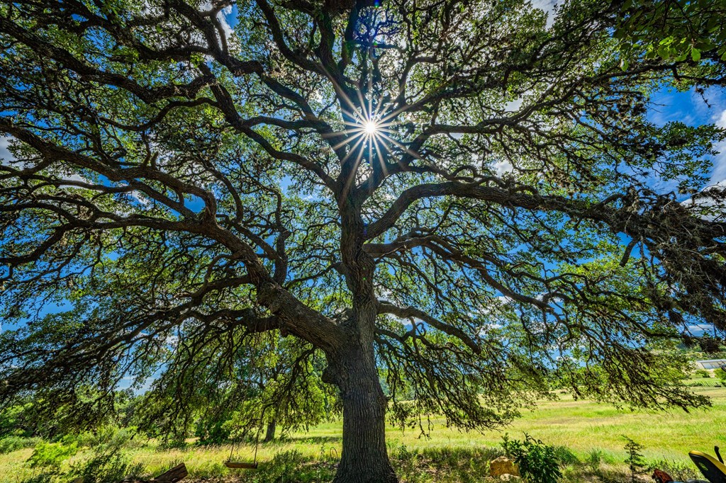 3392 Benton Creek Road Medina, TX 78055 - Photo 28 of 32