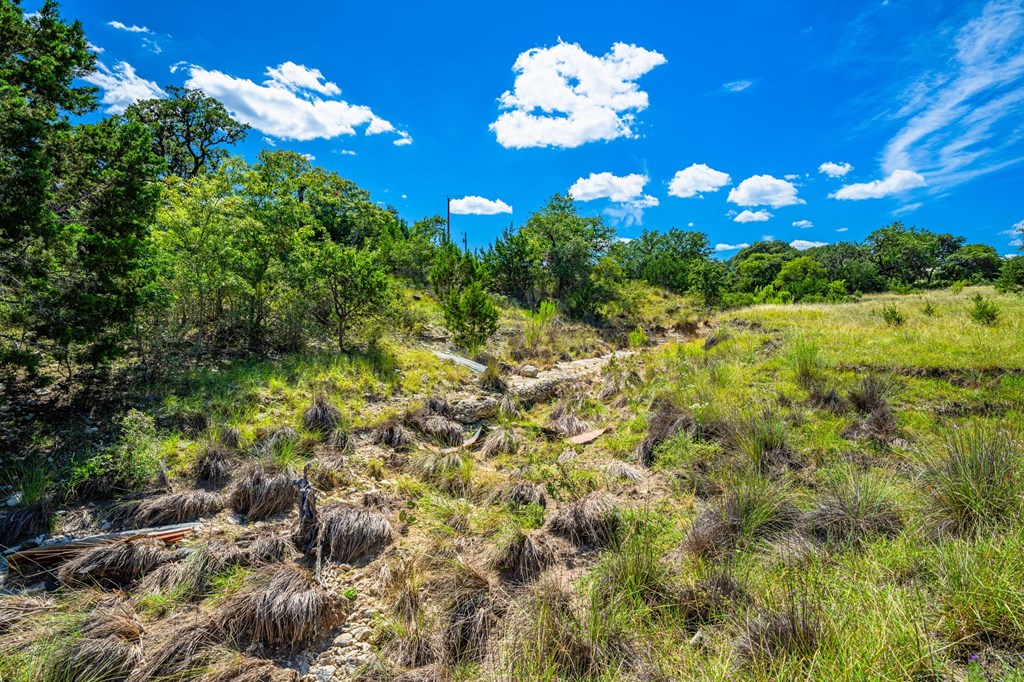 3392 Benton Creek Road Medina, TX 78055 - Photo 30 of 32
