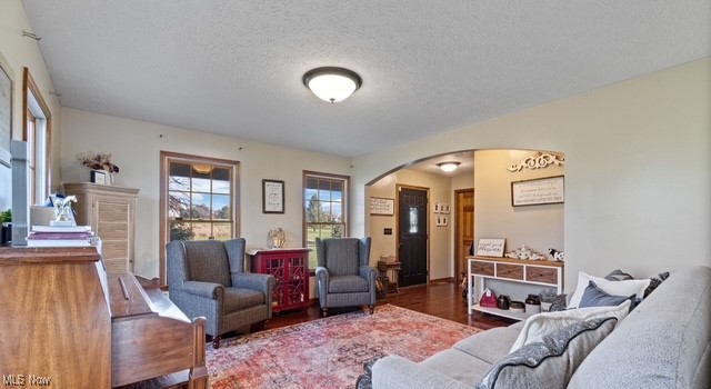 8995 Ridge Road Wooster, OH 44691 - Photo 26 of 50 Living room with arched walkways, wood finished floors, and a textured ceiling