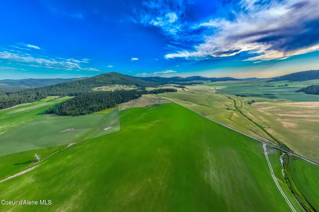 $175,000 | 783 Old Mills Road, Tensed, ID 83870