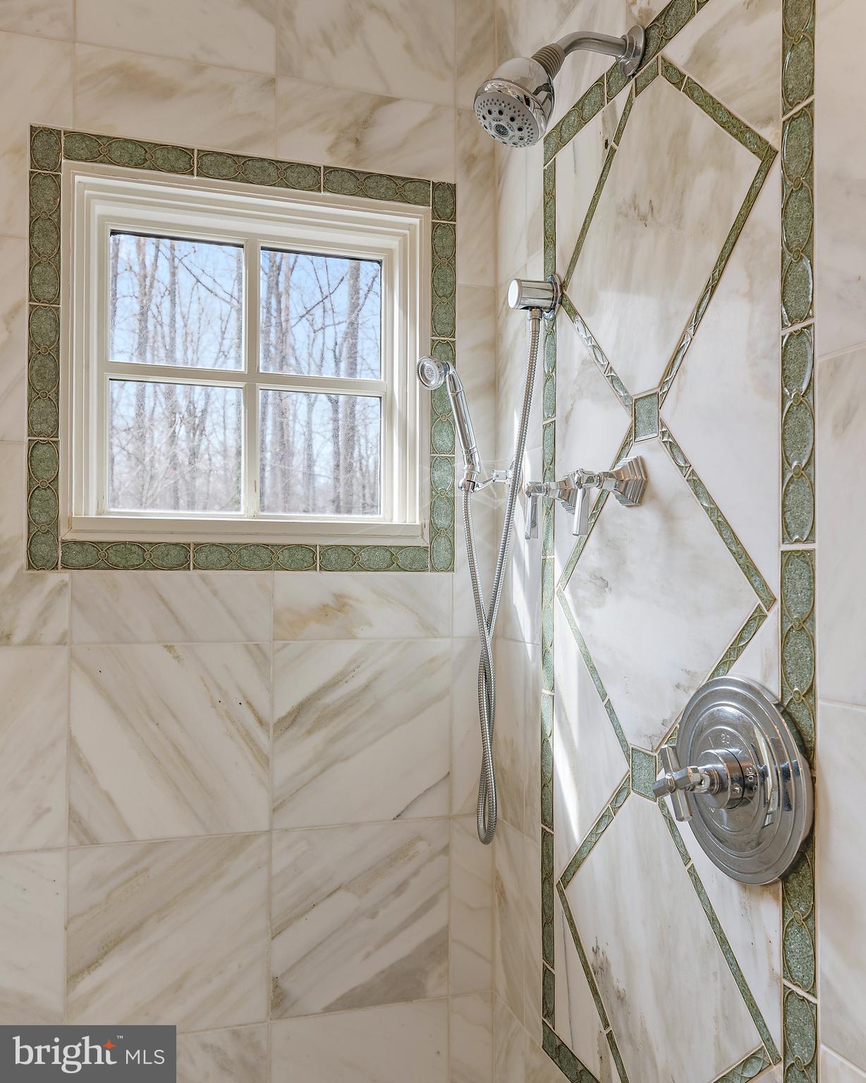 403 Beards Dock Crossing Annapolis, MD 21403 - Photo 50 of 96 Marble primary shower