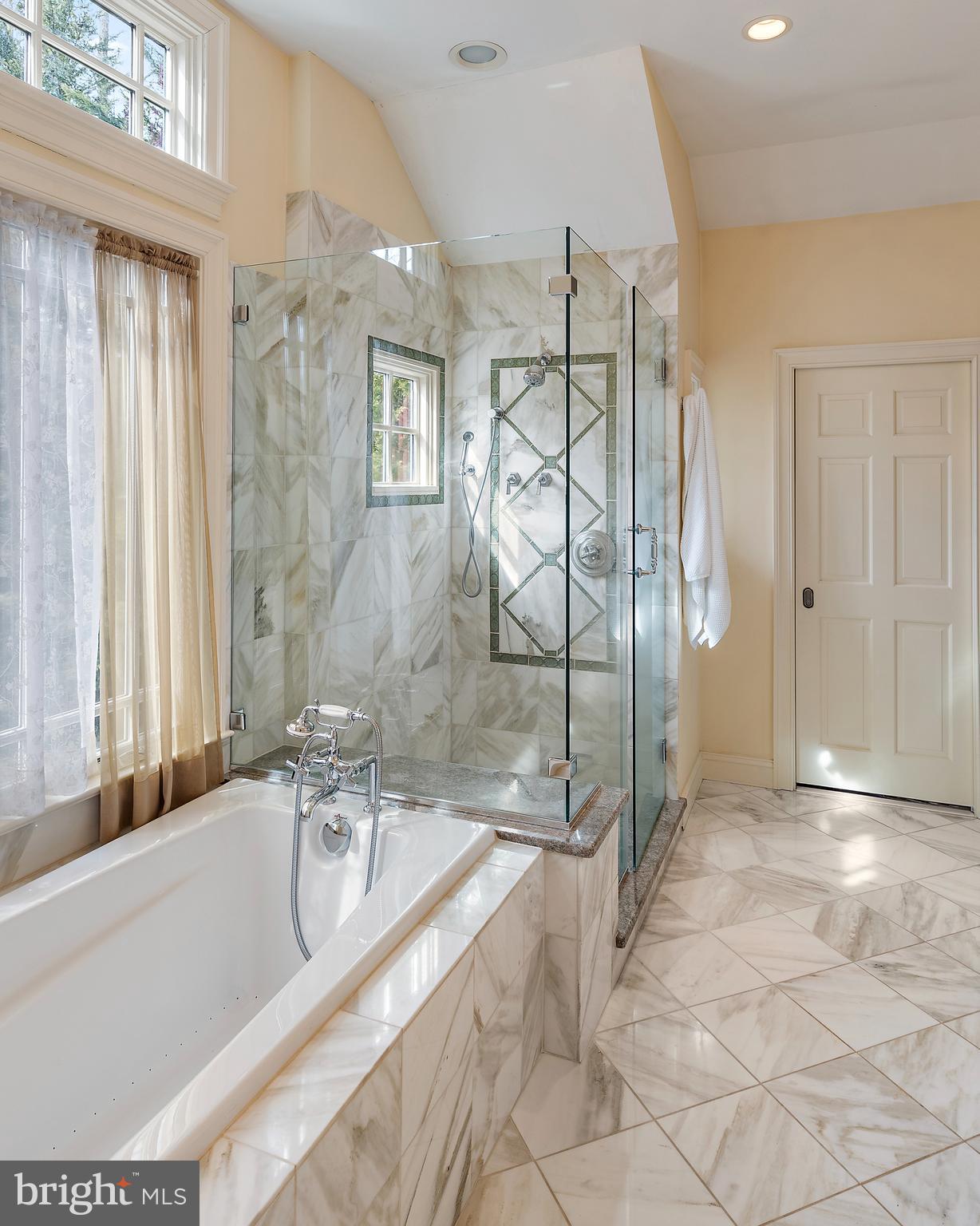 403 Beards Dock Crossing Annapolis, MD 21403 - Photo 52 of 96 Primary bath with tub and shower