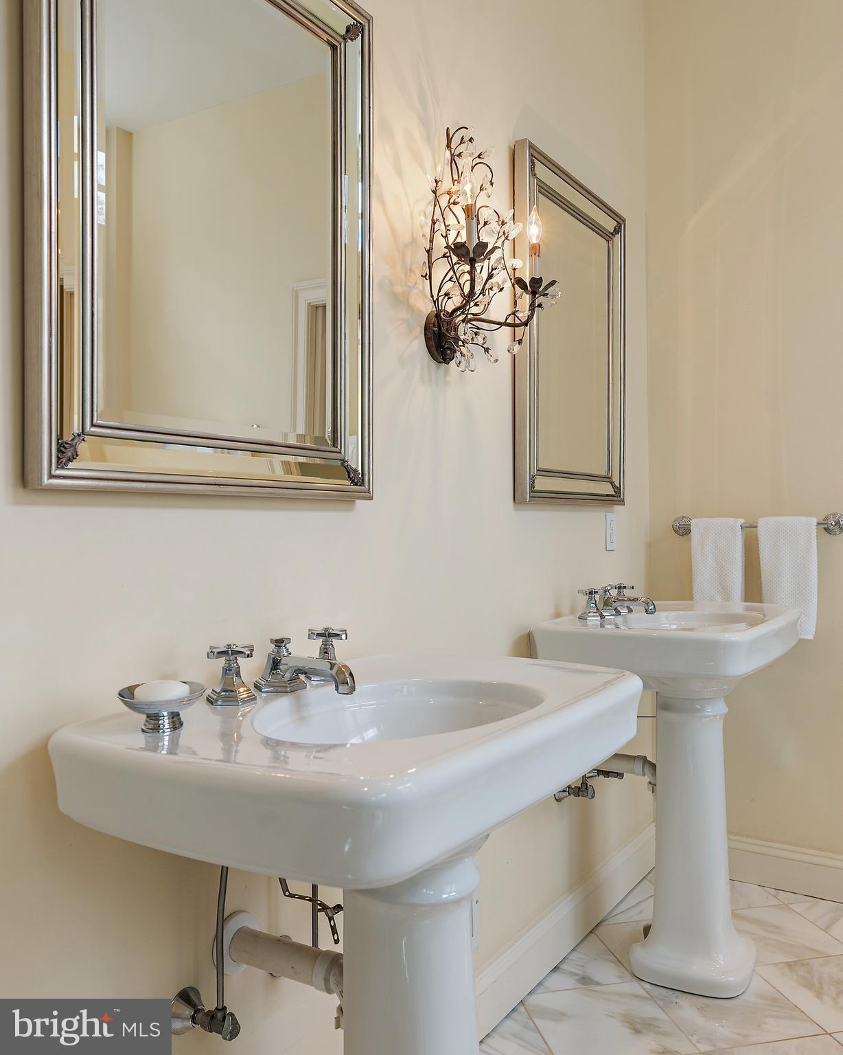 403 Beards Dock Crossing Annapolis, MD 21403 - Photo 53 of 96 Double vanity in Primary bath