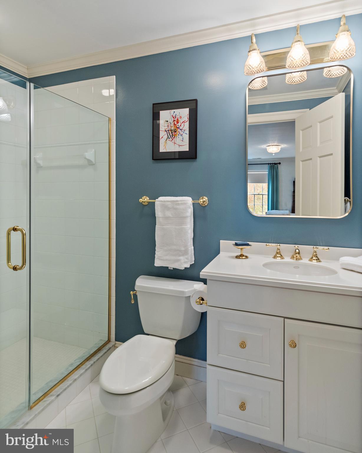 403 Beards Dock Crossing Annapolis, MD 21403 - Photo 66 of 96 Full bath for fourth bedroom