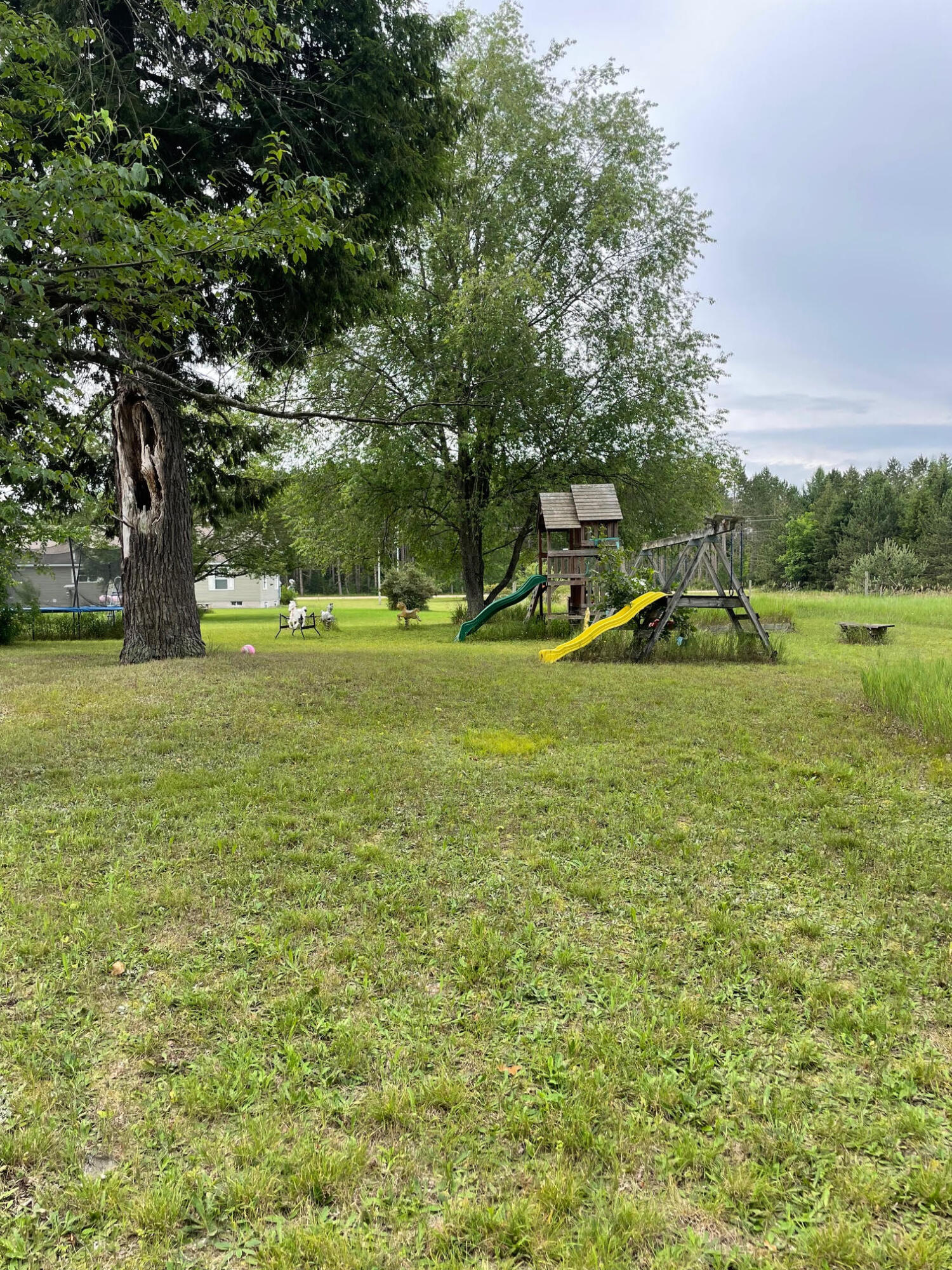 12416 Johnson Road Kaleva, MI 49645 - Photo 33 of 37 Back