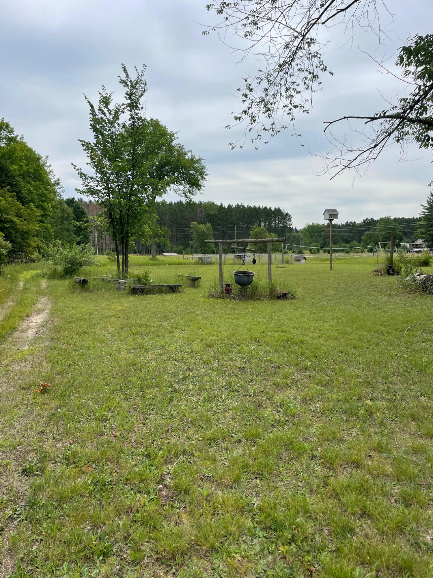12416 Johnson Road Kaleva, MI 49645 - Photo 34 of 37 Back yard