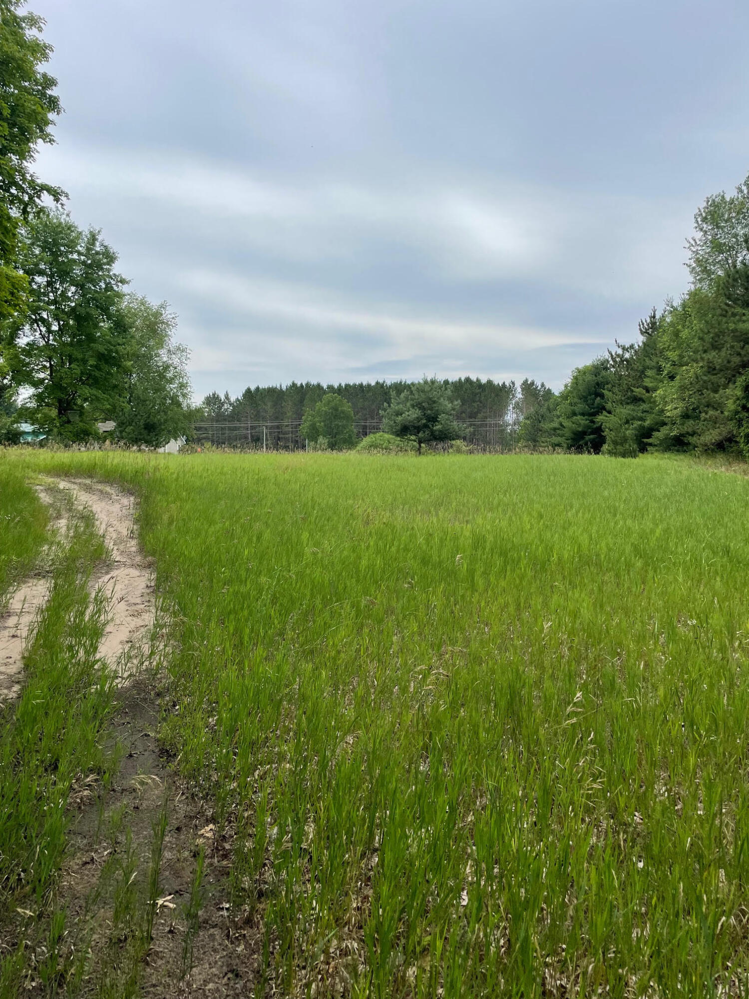 12416 Johnson Road Kaleva, MI 49645 - Photo 35 of 37 Level