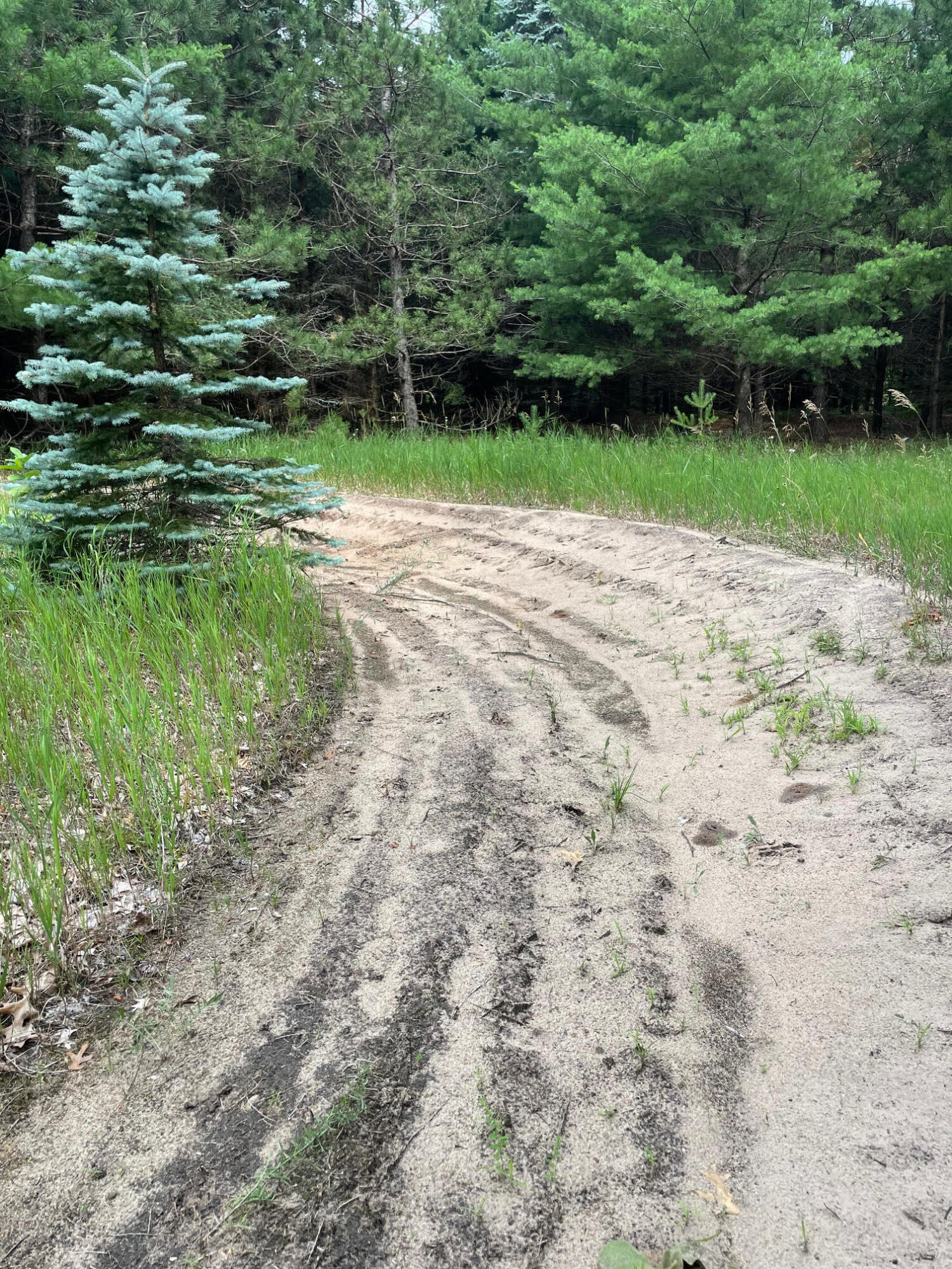 12416 Johnson Road Kaleva, MI 49645 - Photo 36 of 37 Two track