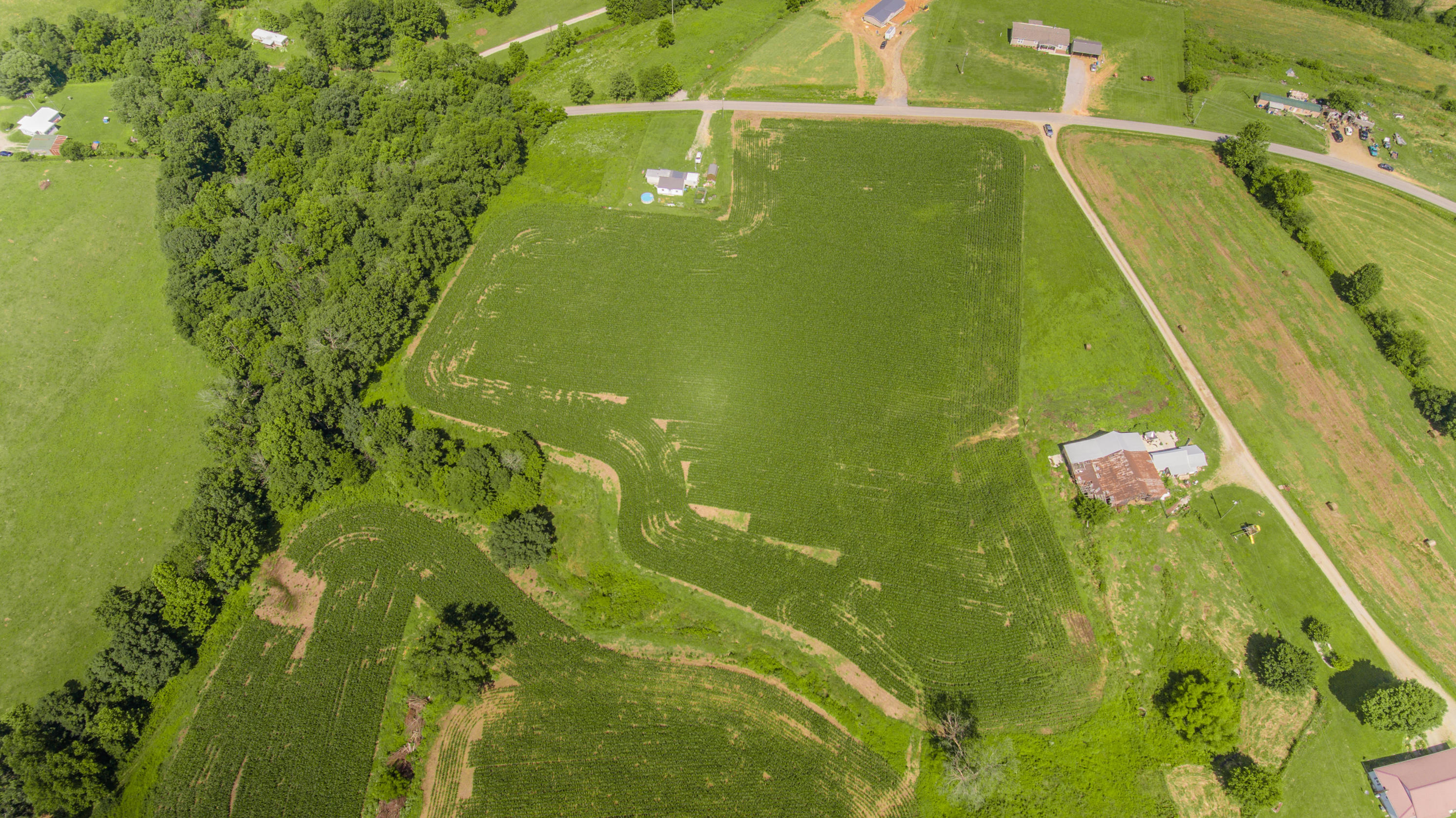 2253 Cemetery Road Waynesburg, KY 40489 - Photo 14 of 28 Zimmerman Land-15