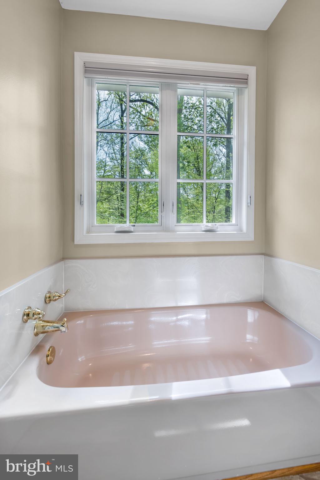 718 Ridge Drive McLean, VA 22101 - Photo 40 of 61 Serene bath with nature views.