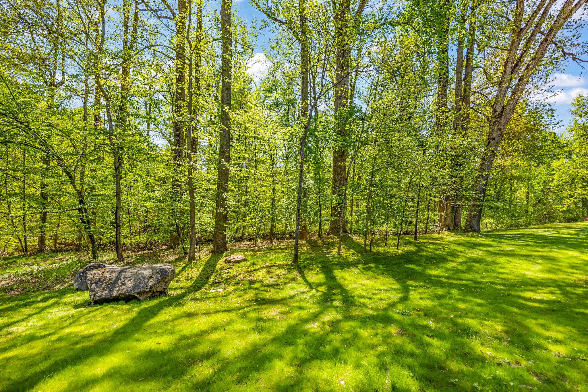 718 Ridge Drive McLean, VA 22101 - Photo 54 of 61 Sunlit serenity in private yard