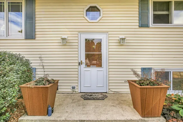 a view of a house and a back yard with a potted plant