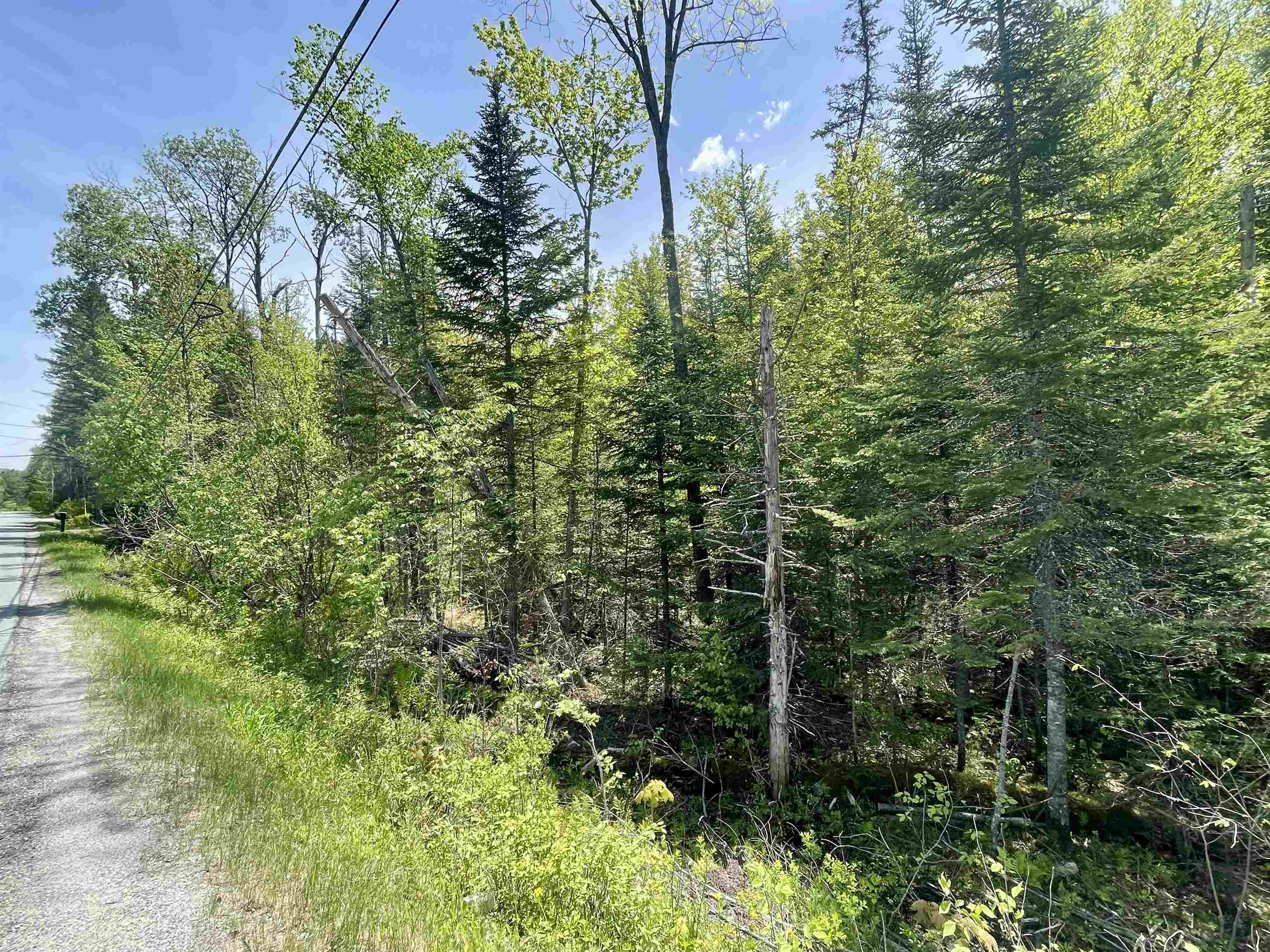 0 Mountain Road East Burke, VT 05832 - Photo 2 of 26