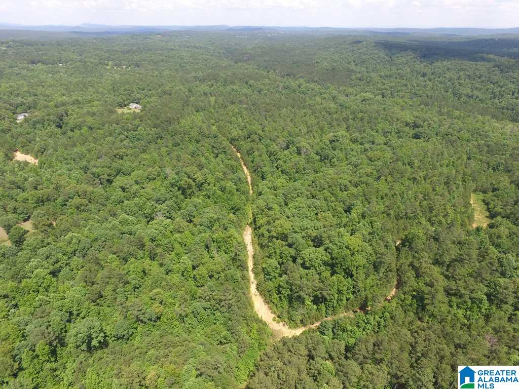 12 County Road, Unit 103 Odenville, AL 35120 - Photo 4 of 8