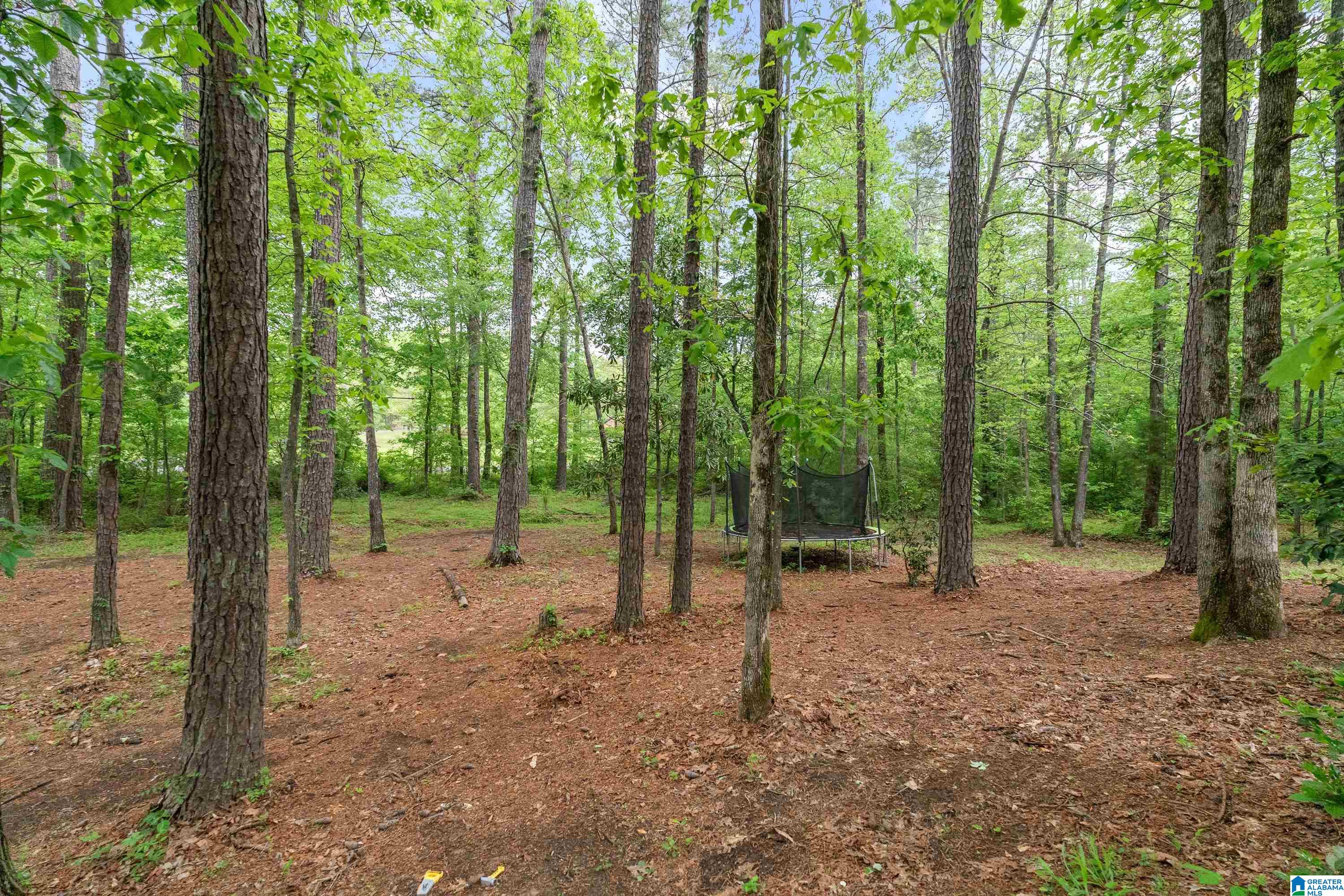158 Timber Trail Chelsea, AL 35043 - Photo 44 of 45