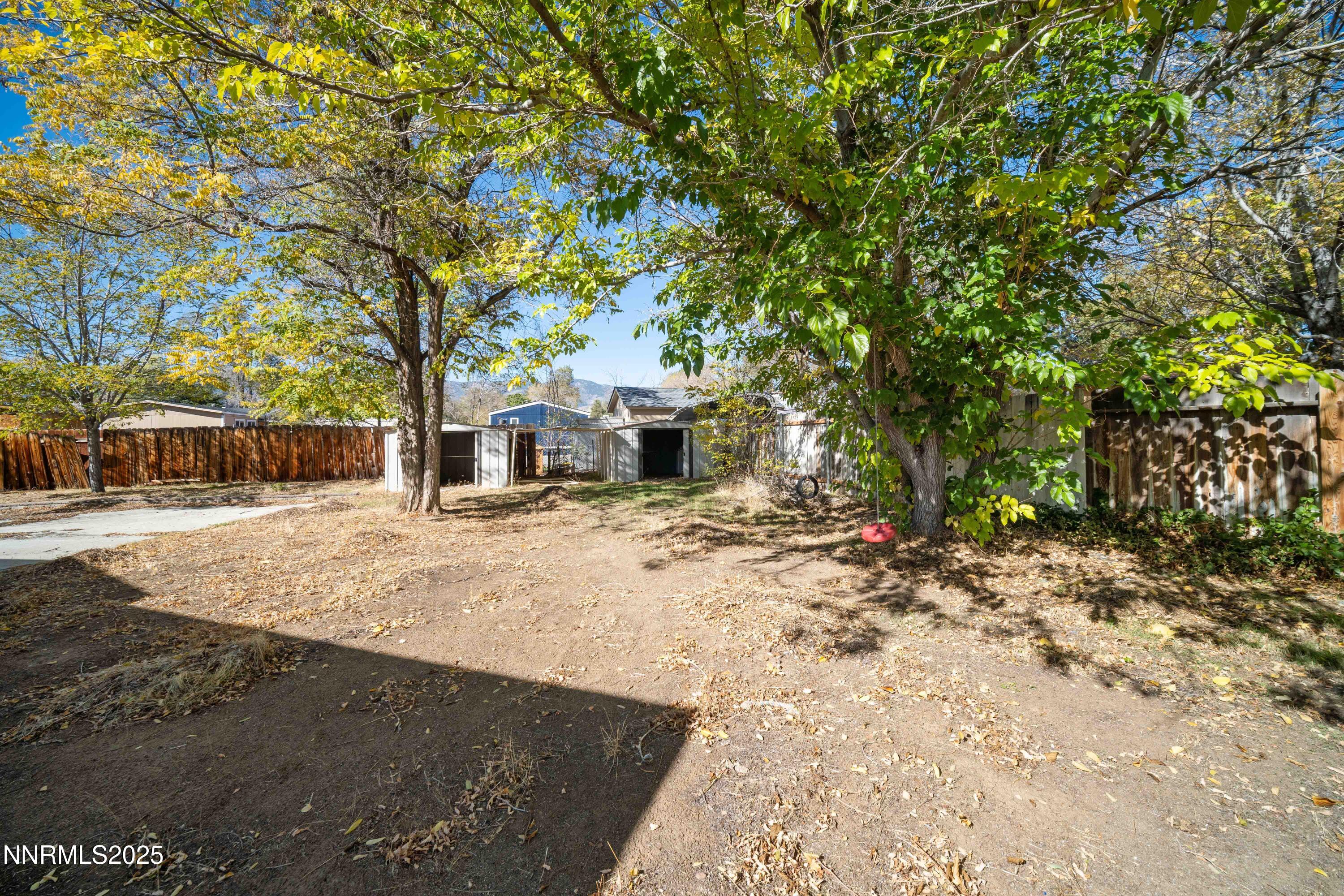 2524 Sneddon Way Carson City, NV 89706 - Photo 26 of 34 a view of a yard with plants and trees