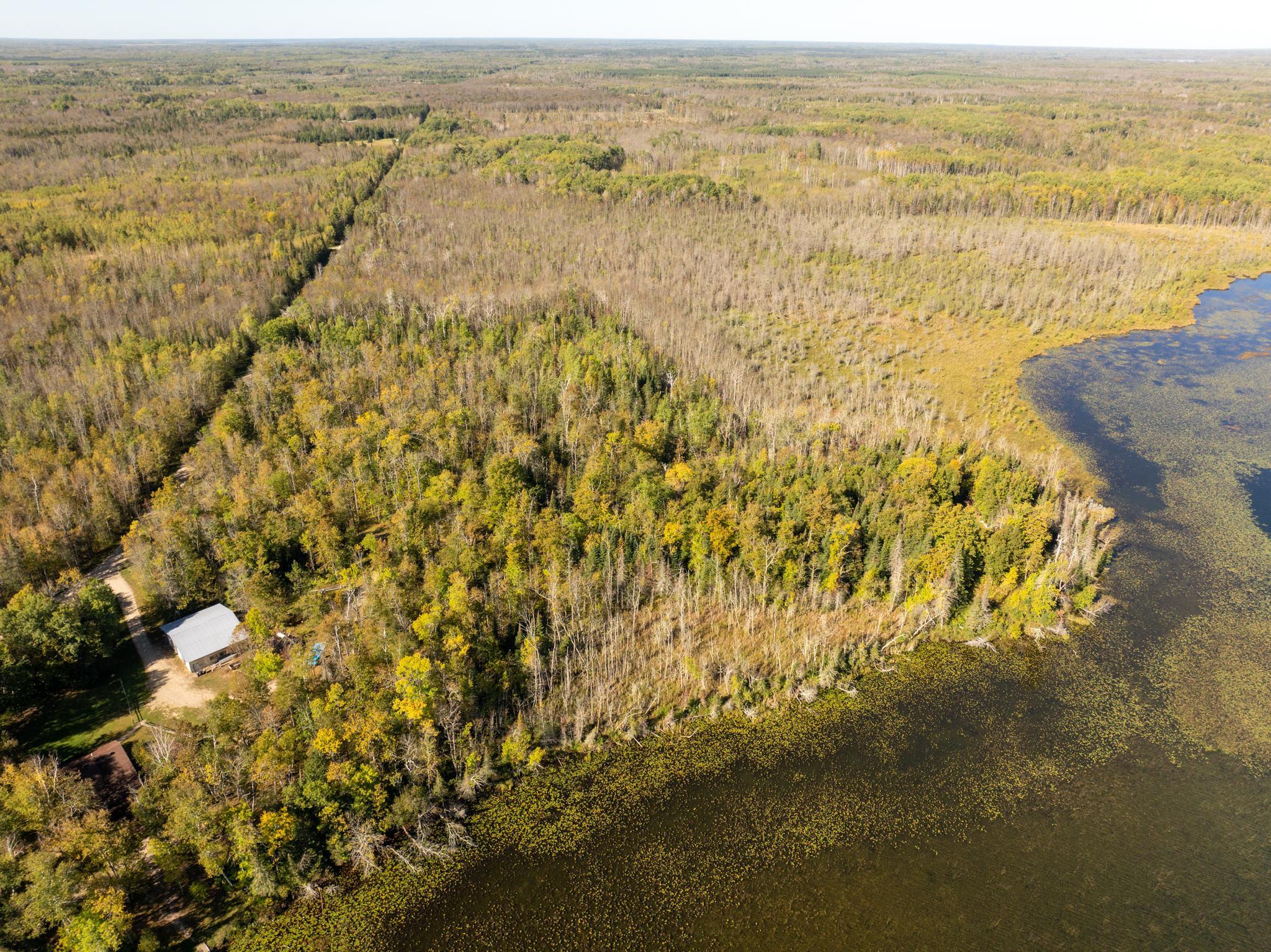 Tbd Cedar Point Road Marcell, MN 56657 - Photo 5 of 14