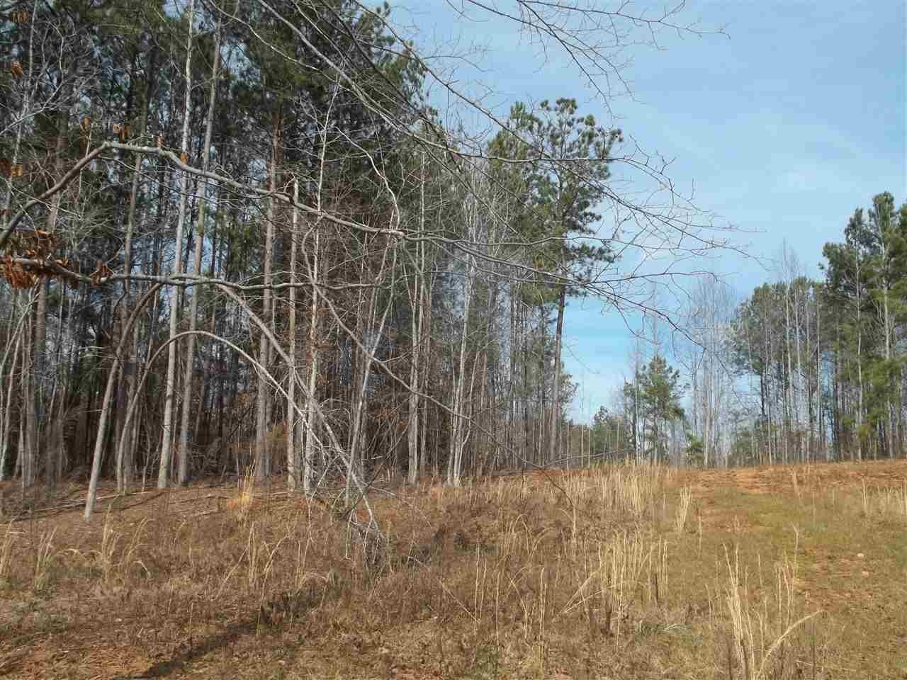 643 Pearson Town Road Moore, SC 29369 - Photo 7 of 16 Gallery Image 7