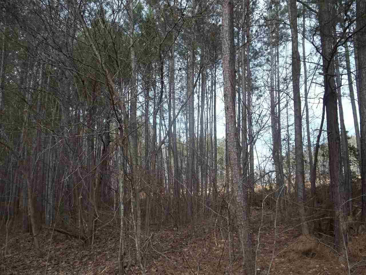 643 Pearson Town Road Moore, SC 29369 - Photo 8 of 16 Gallery Image 8