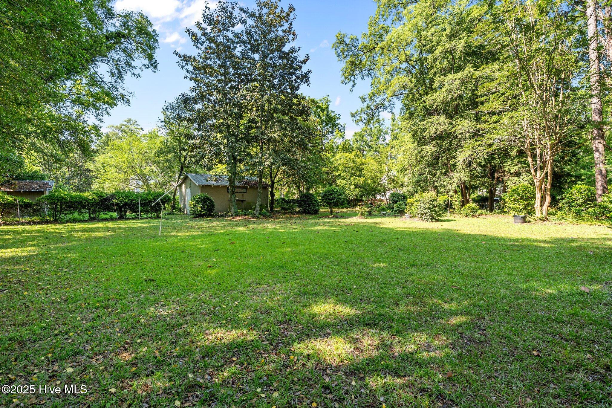 804 Fayetteville Road Rockingham, NC 28379 - Photo 59 of 69 15-web-or-mls-DSC07452