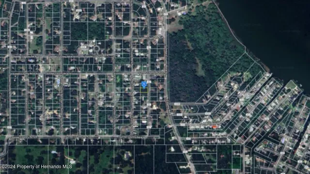 a view of a lush green space