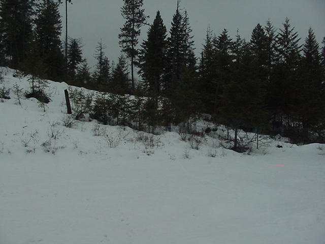 4058 Deer Creek Road Valley, WA 99181 - Photo 3 of 5