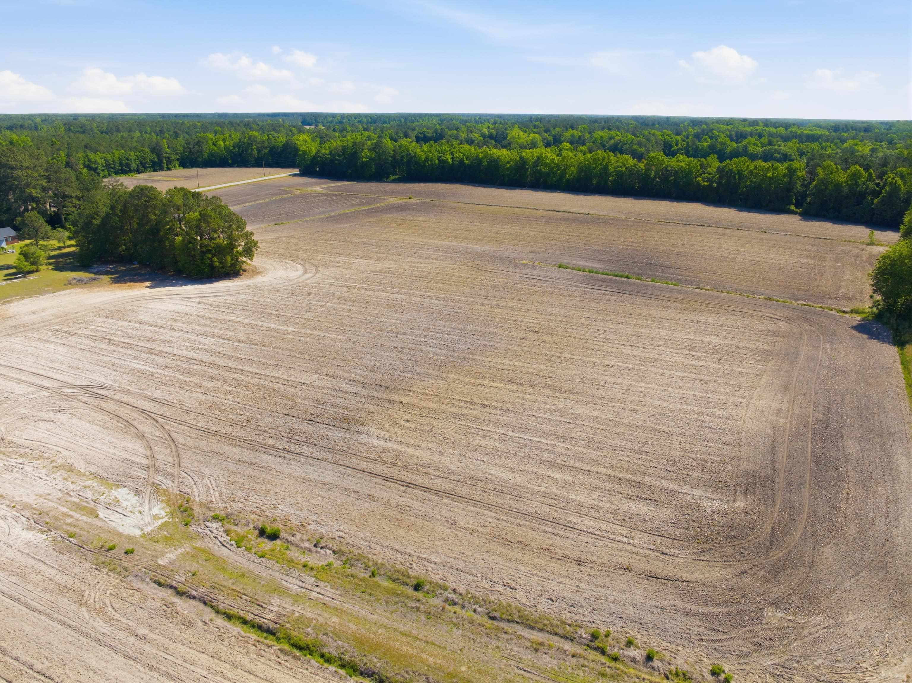 9475 Lake Swamp Road Nichols, SC 29581 - Photo 23 of 36