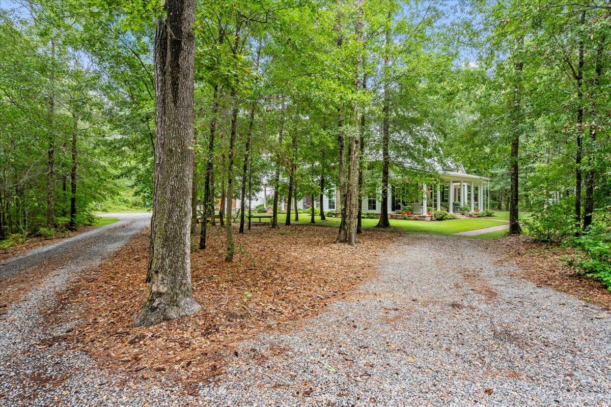 2826 State Rd S-10-2147 Johns Island, SC 29455 - Photo 92 of 93 005-EYE00038