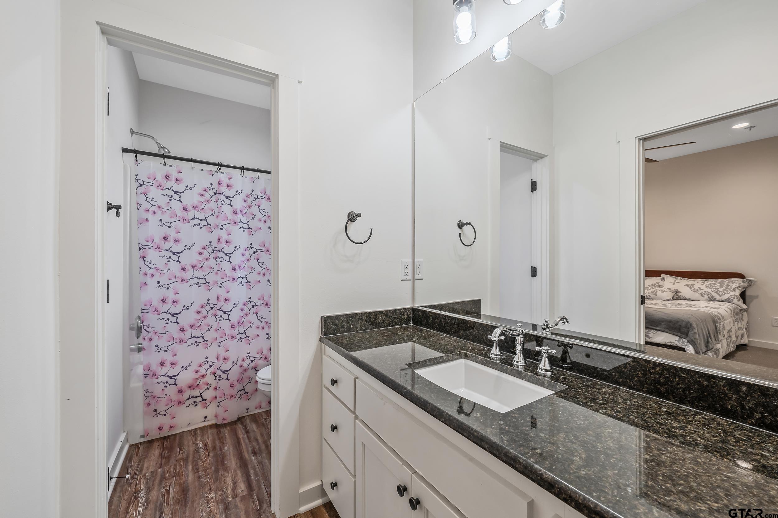 223 Riata Road Bullard, TX 75757 - Photo 24 of 45 a bathroom with a granite countertop sink and a mirror
