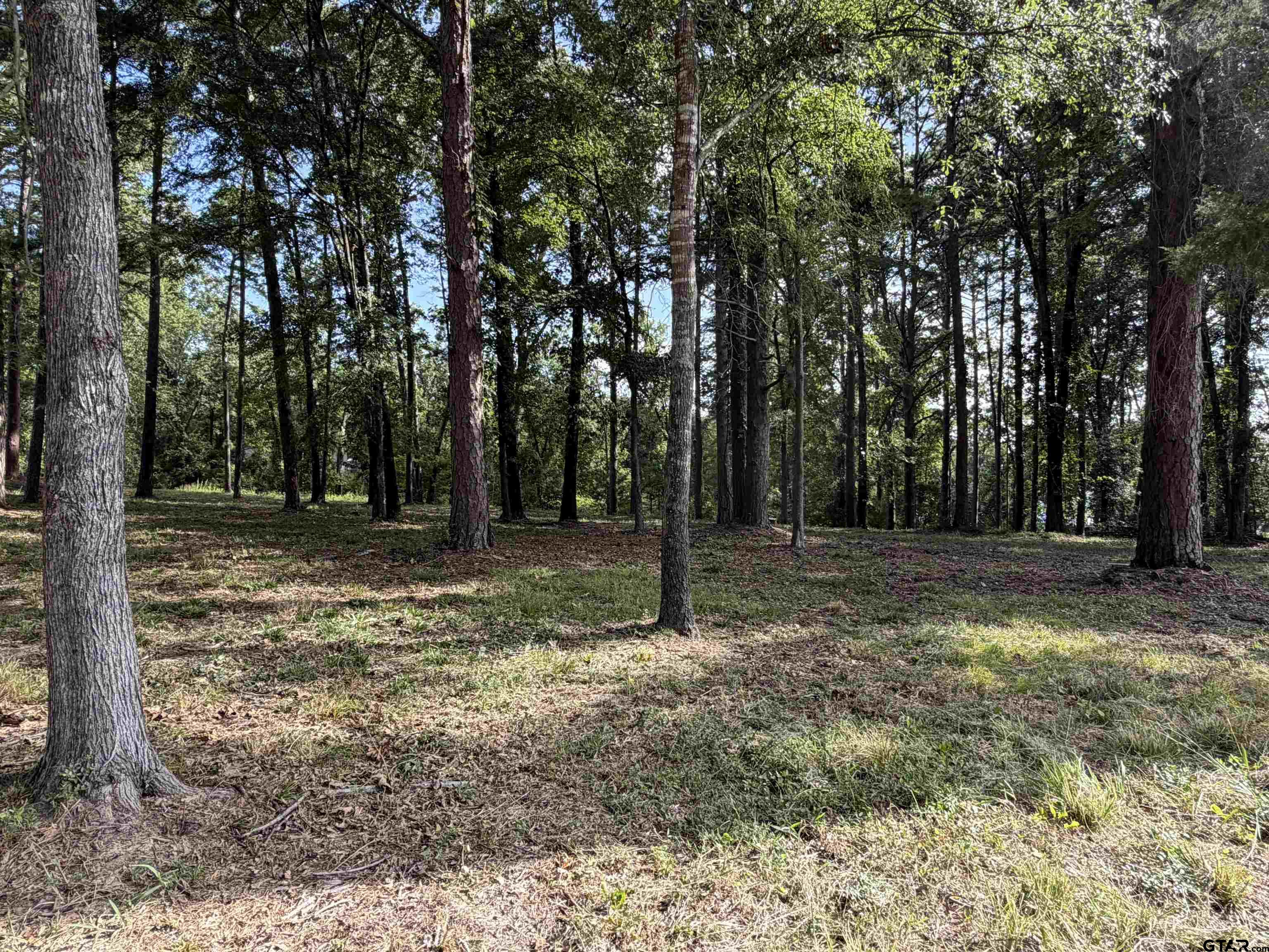 Tbd Tbd Wilson Road Tyler, TX 75707 - Photo 4 of 14 Gallery Image 4